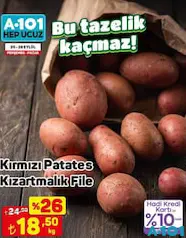 KIRMIZI PATATES KIZARTMALIK FİLE KG